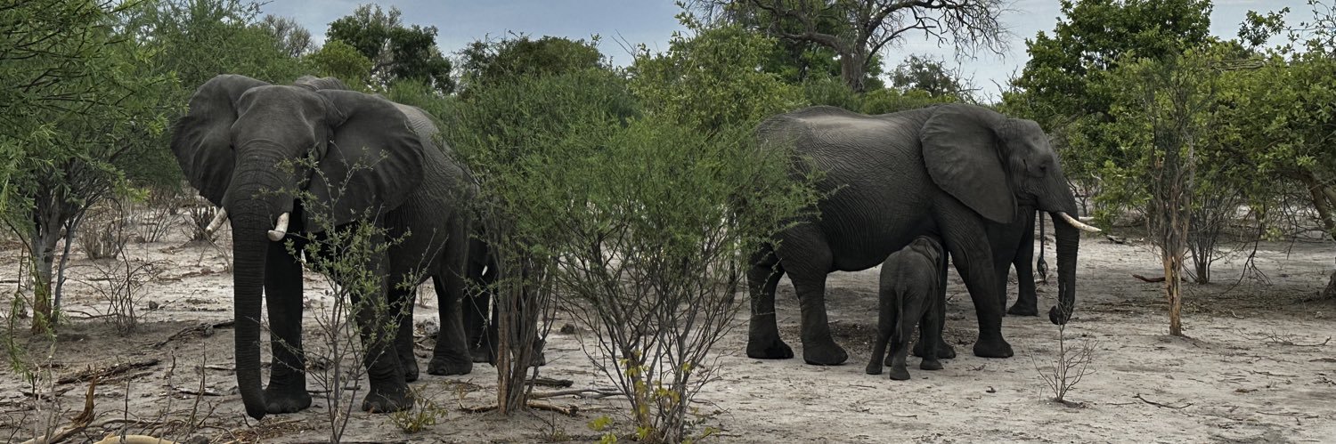 Not Today Colonizer | #LandBack banner