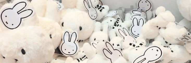poisepuff's profile banner image