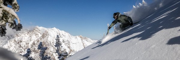Snowbird Profile Banner