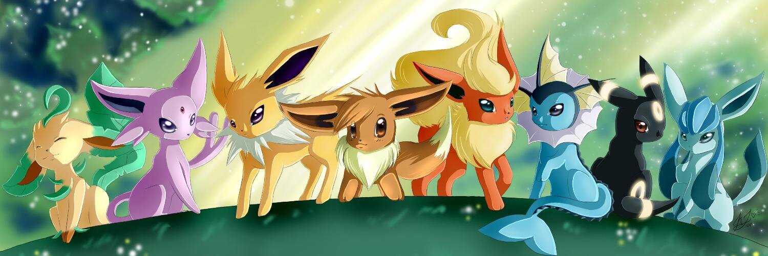 PlusOneLady's profile banner image