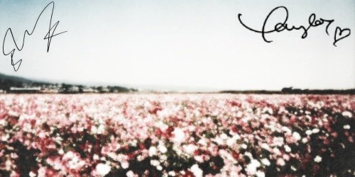 swiftohswift's profile banner image