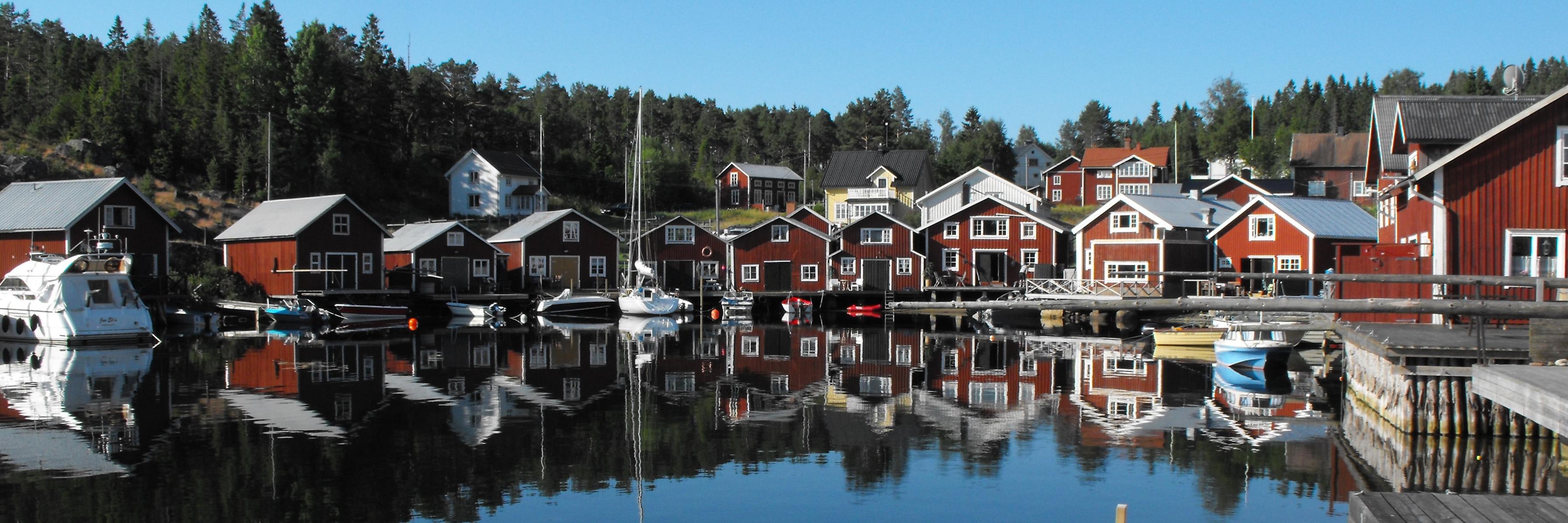 Steve Robertshaw banner