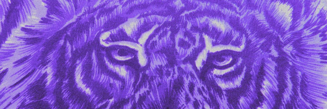 ElocinTygr's profile banner image