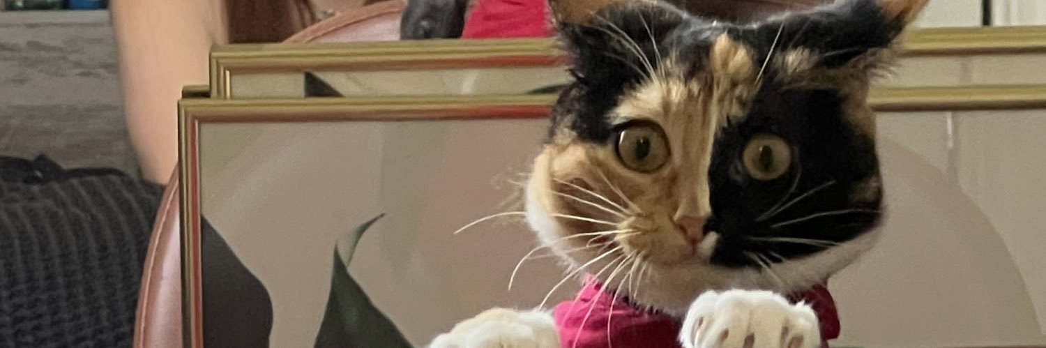 whygillywhyy's profile banner image