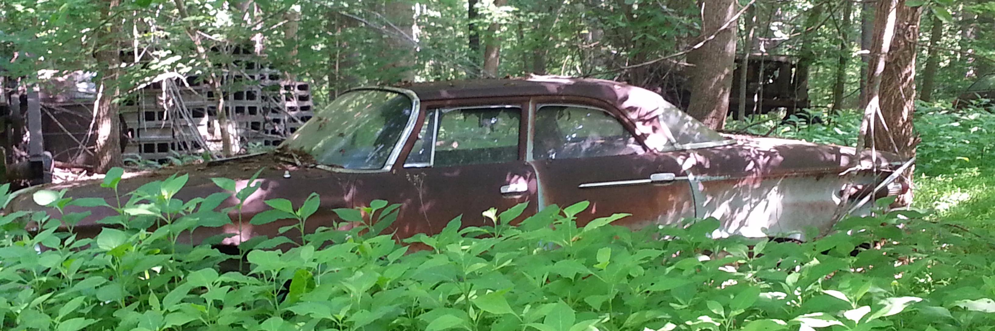 To Keep Us Safe! It's a cookbook! banner