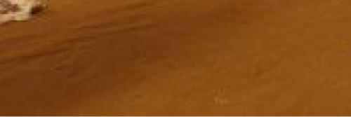 EmmaOfThemAll's profile banner image