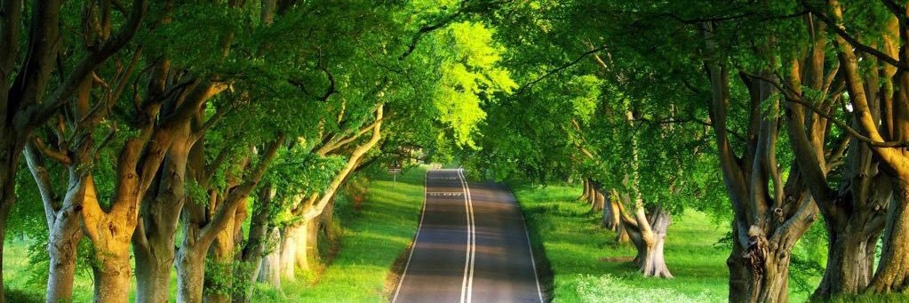 HASSAN🤸🏽‍♂️ banner