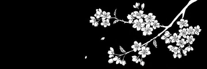 Florjcabrera's profile banner image