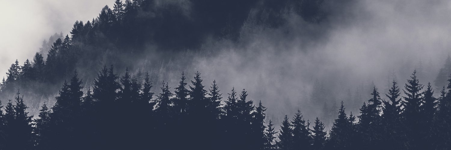 Adderexia's profile banner image