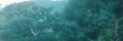 Odegtte's profile banner image