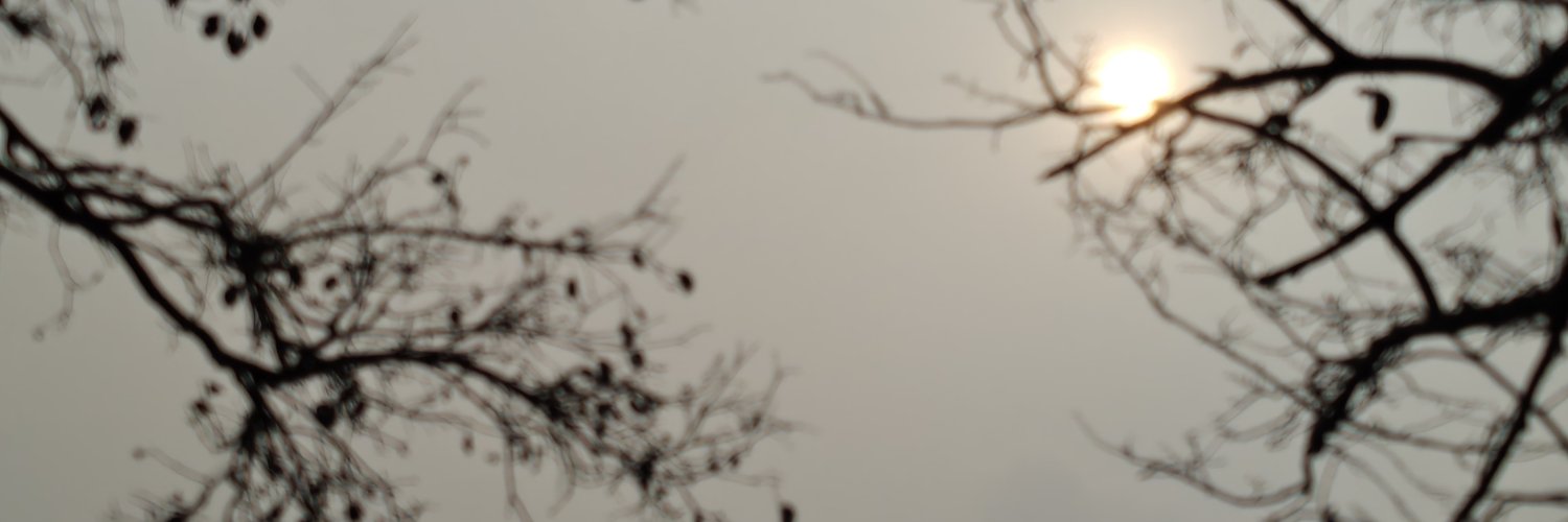 real_divaa's profile banner image