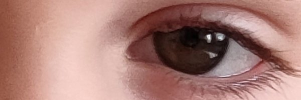 websterkaz5 Profile Banner