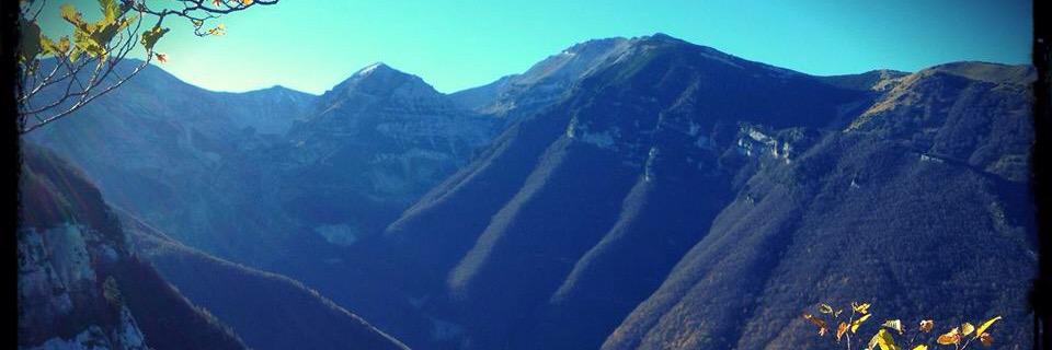 majellando's profile banner image