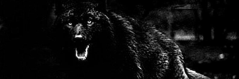 jcub32's profile banner image