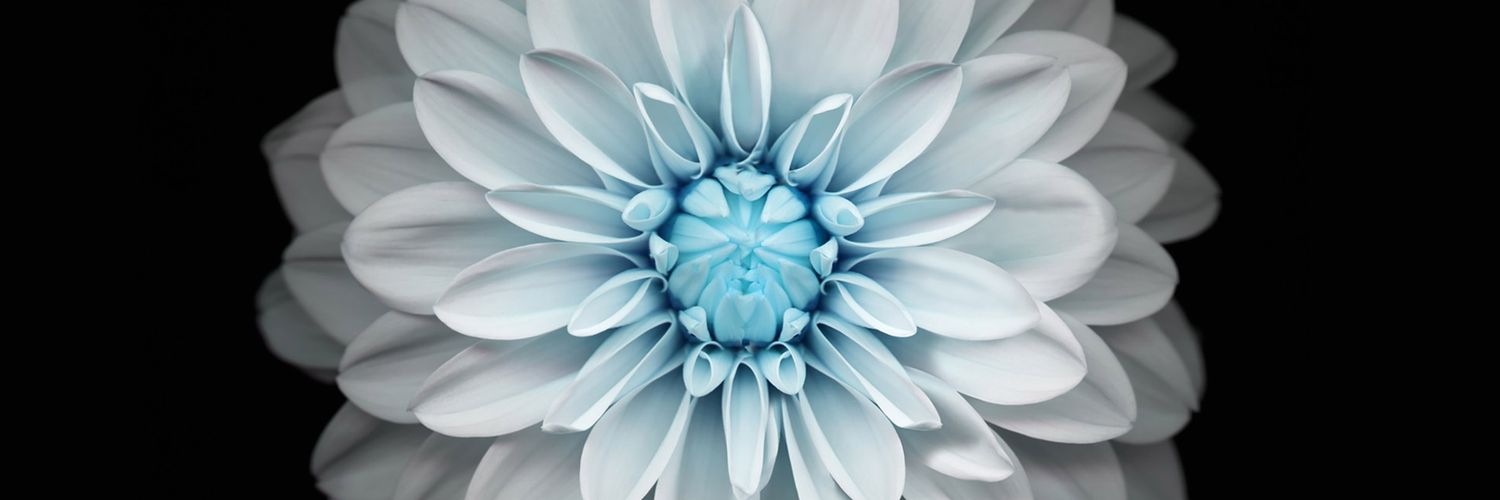 OriginalJasmin's profile banner image