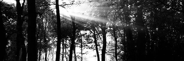 ghostheart__'s profile banner image