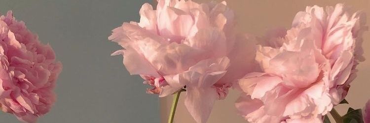 kdstan26's profile banner image