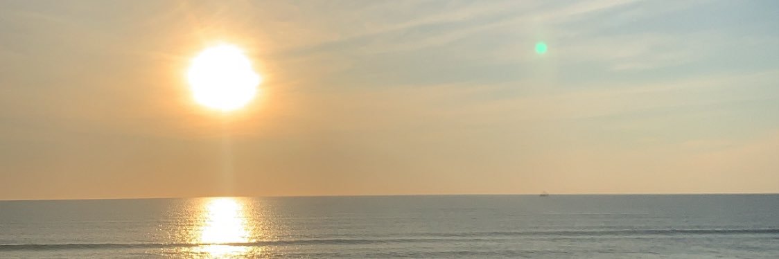 Braylee903's profile banner image