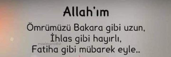 seyhanay57's profile banner image