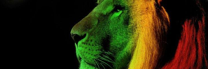 i_IndaIndo's profile banner image