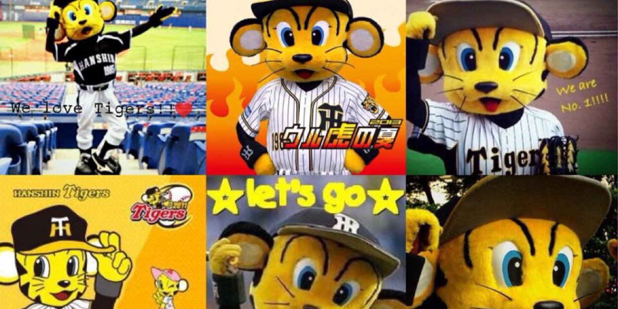 Tigerchan777's profile banner image