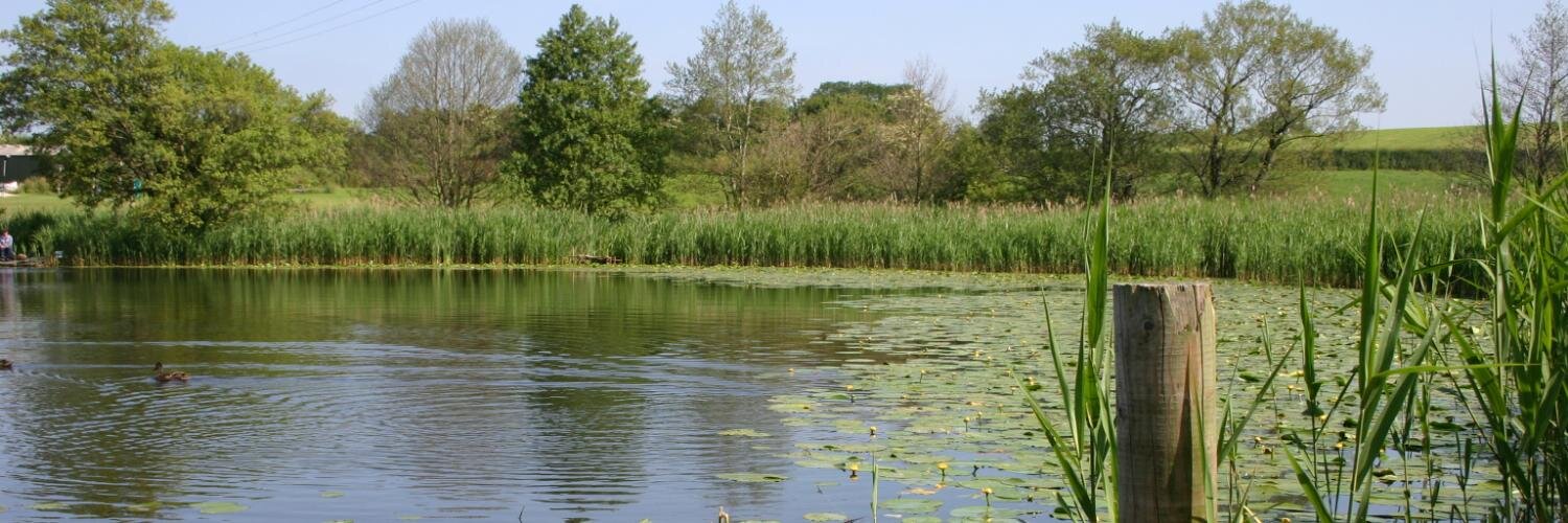 Blakemere Fishery banner