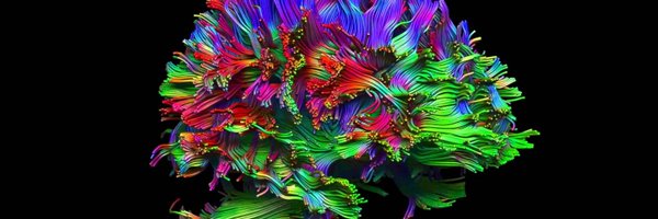 Ayushalder Profile Banner