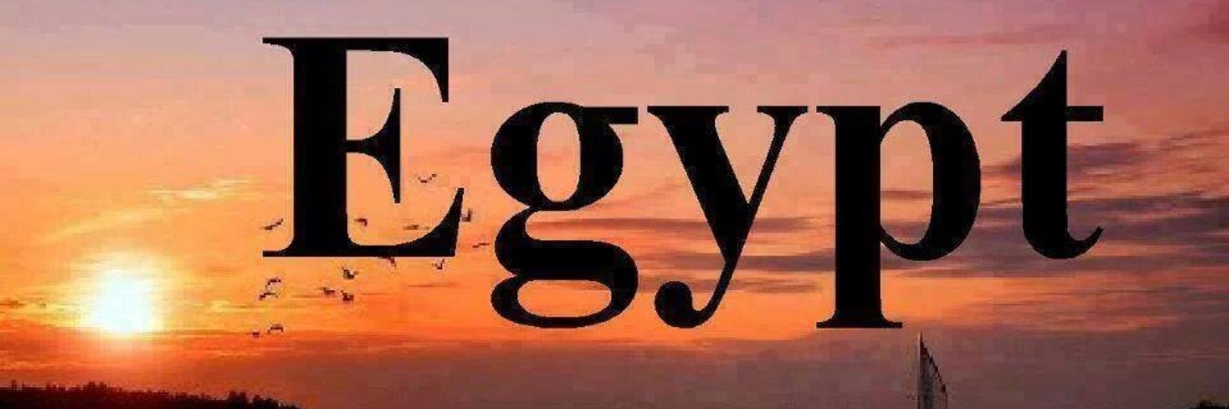 Lo2014Aly's profile banner image