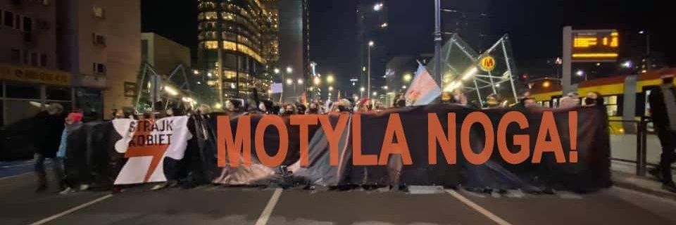 tkolkiewicz's profile banner image