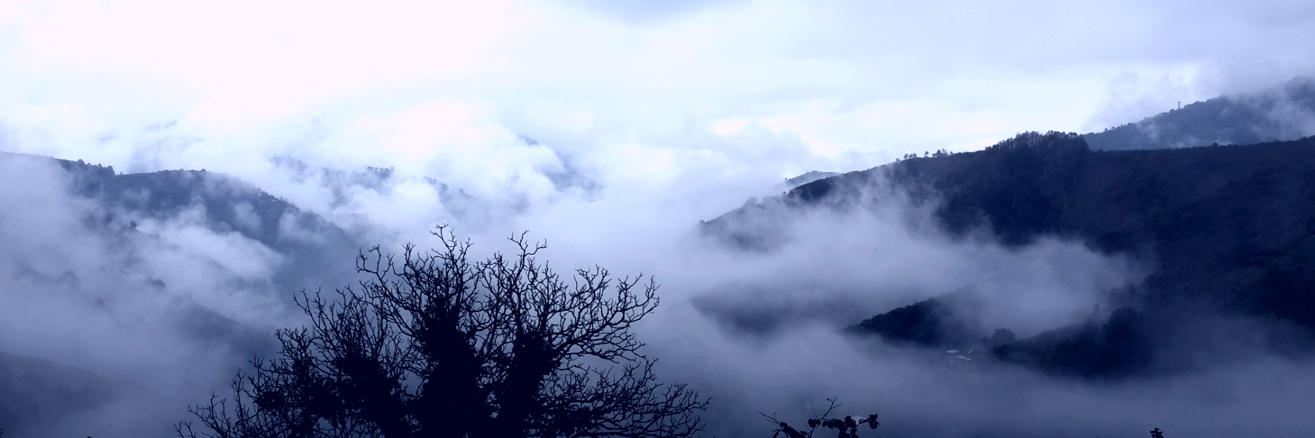 absurtyazar's profile banner image