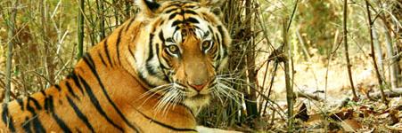 MP_Ecotourism's profile banner image