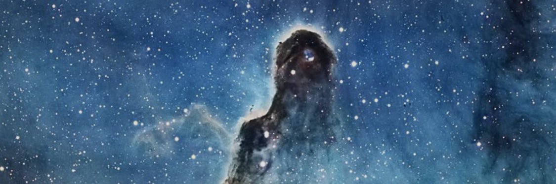 icaldito's profile banner image