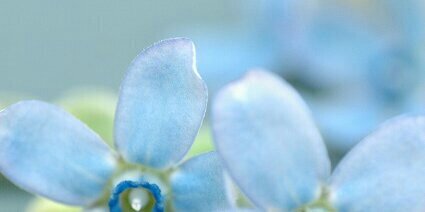 suba_____eight's profile banner image