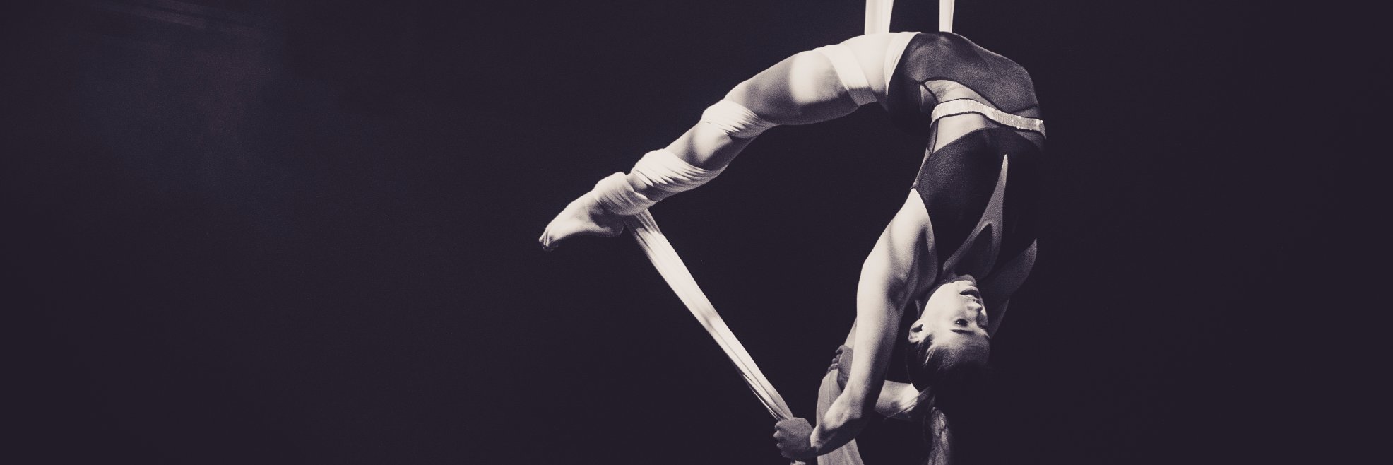 Cirque Éloize banner