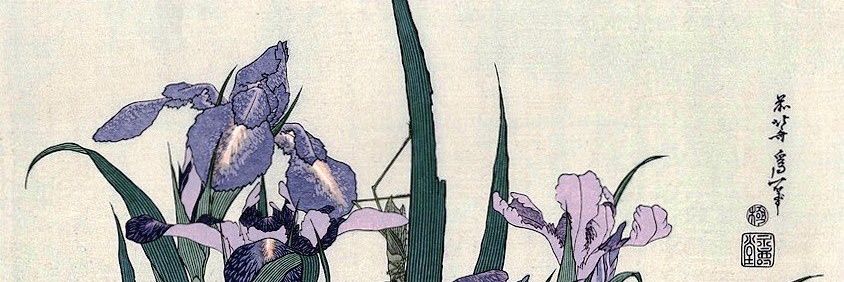 sofisandop_'s profile banner image