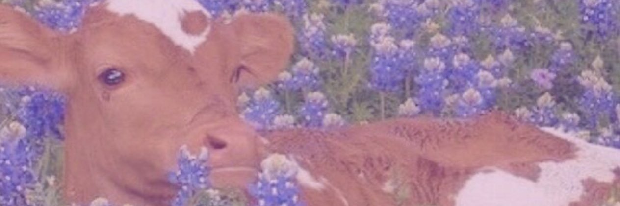 jayyrenayy's profile banner image