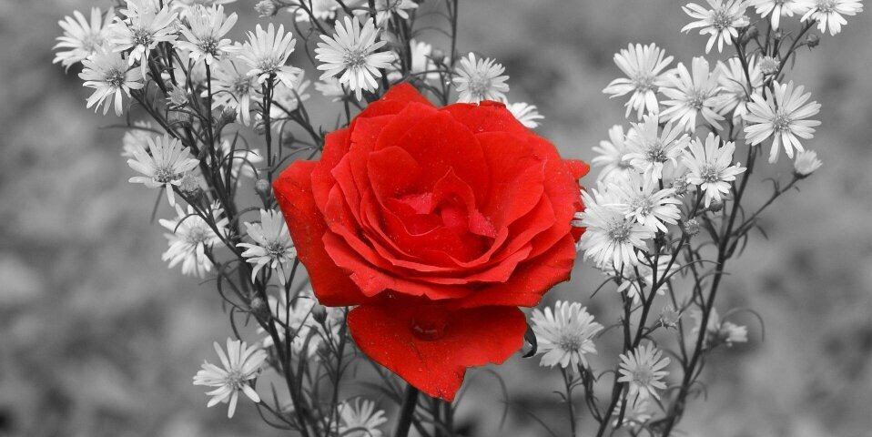 raed72895's profile banner image