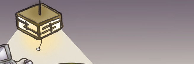 seofernando's profile banner image