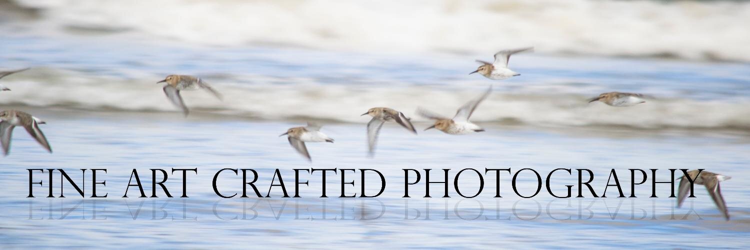 CraftedPhotos's profile banner image