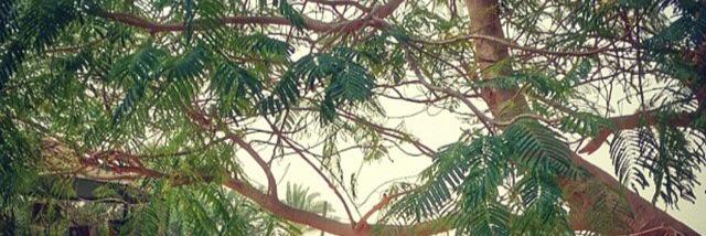 hamad77141's profile banner image