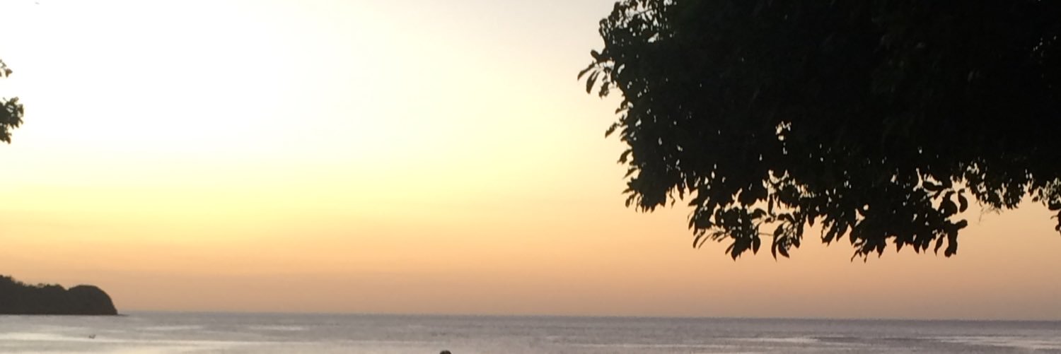 dimich0295's profile banner image