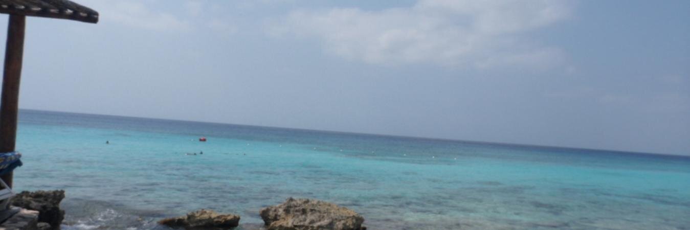 lupstrupis's profile banner image