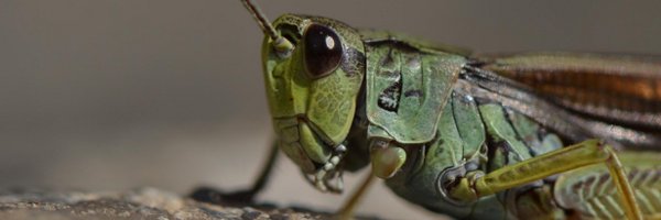 Quentin_131 Profile Banner