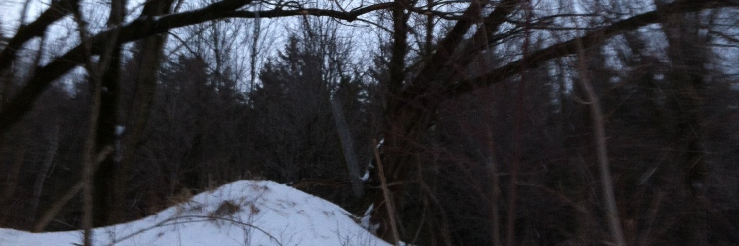 chantgal's profile banner image