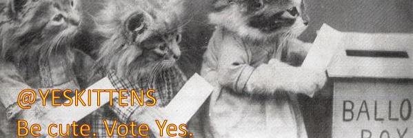 Yeskittens's profile banner image