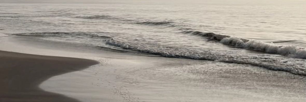 Aoomia2829's profile banner image