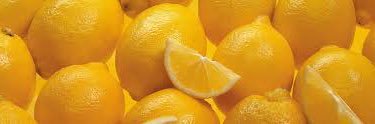 thelemonb0y's profile banner image