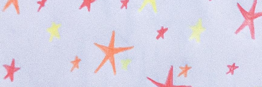 Geni sem zepelin banner