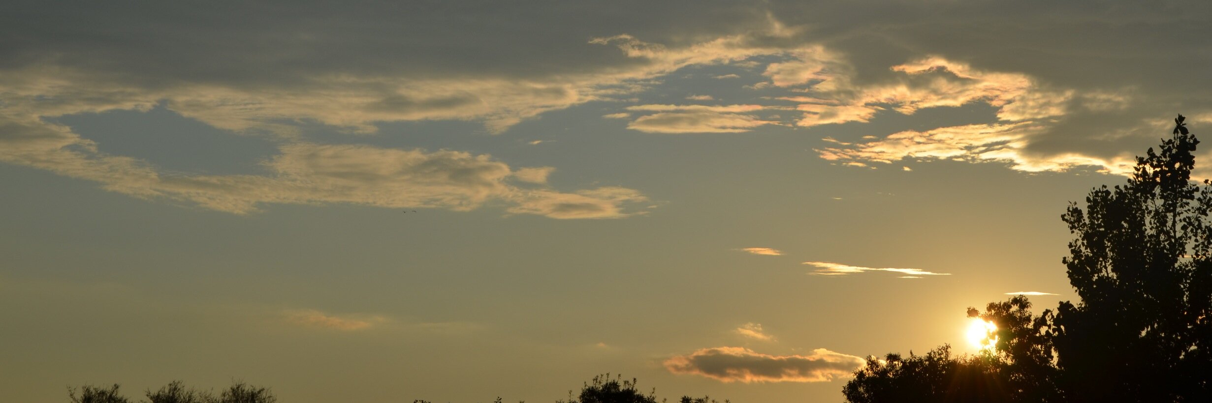 Ⲓⲛⳋⲅⲓ𝖽 Casɛɣ banner