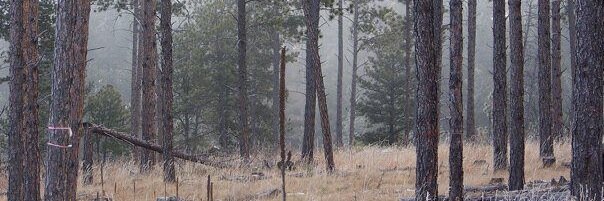 natetaylor21's profile banner image